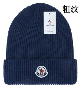 Navy beanie category image